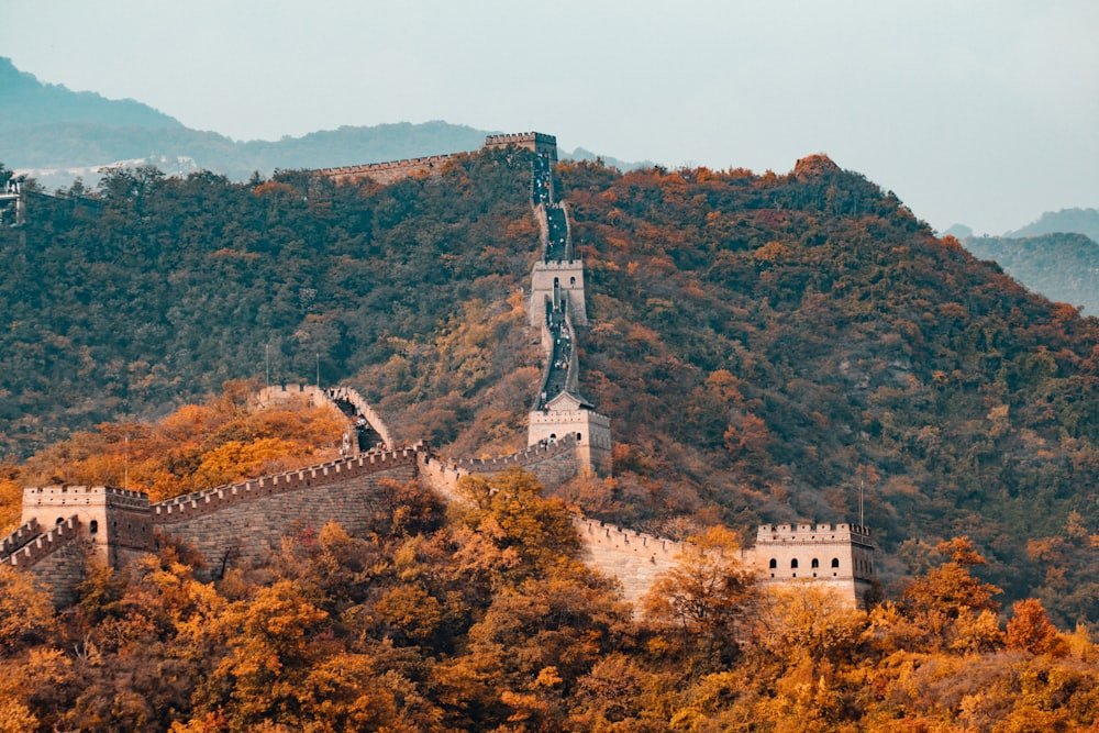 🇨🇳 China